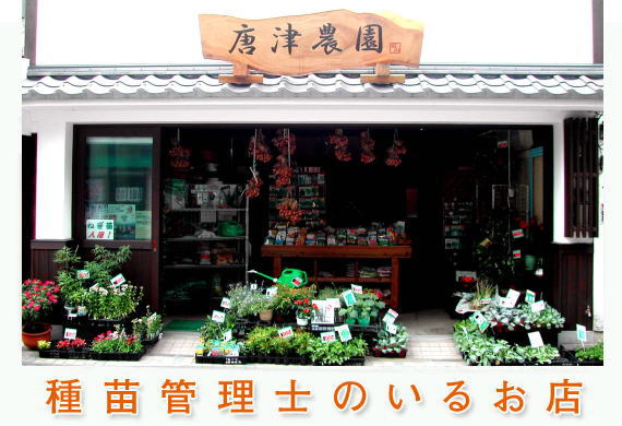 佐賀県 唐津市 種苗管理士のいるお店 唐津農園